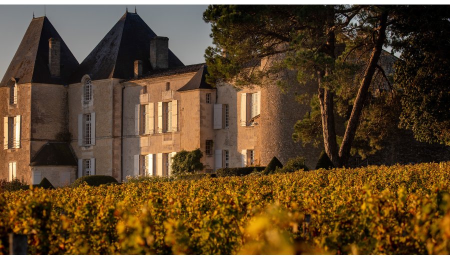 Nye trends i Bordeaux - Verdens vigtigste vinregion står aldrig stille