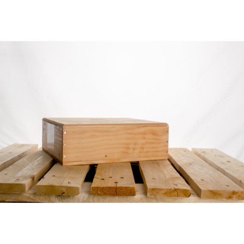 Chteau Mouton-Rothschild 2009 - 1. Cru Class - Pauillac (K)