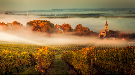 Graves klassifikationen