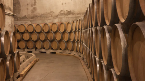 Hvad er 'en primeur'?