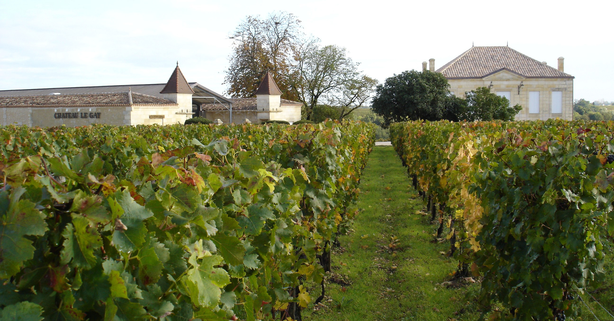 Chteau Le Gay