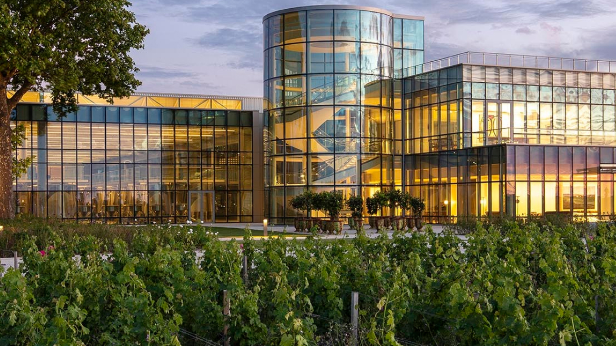 Blanc de Lynch Bages