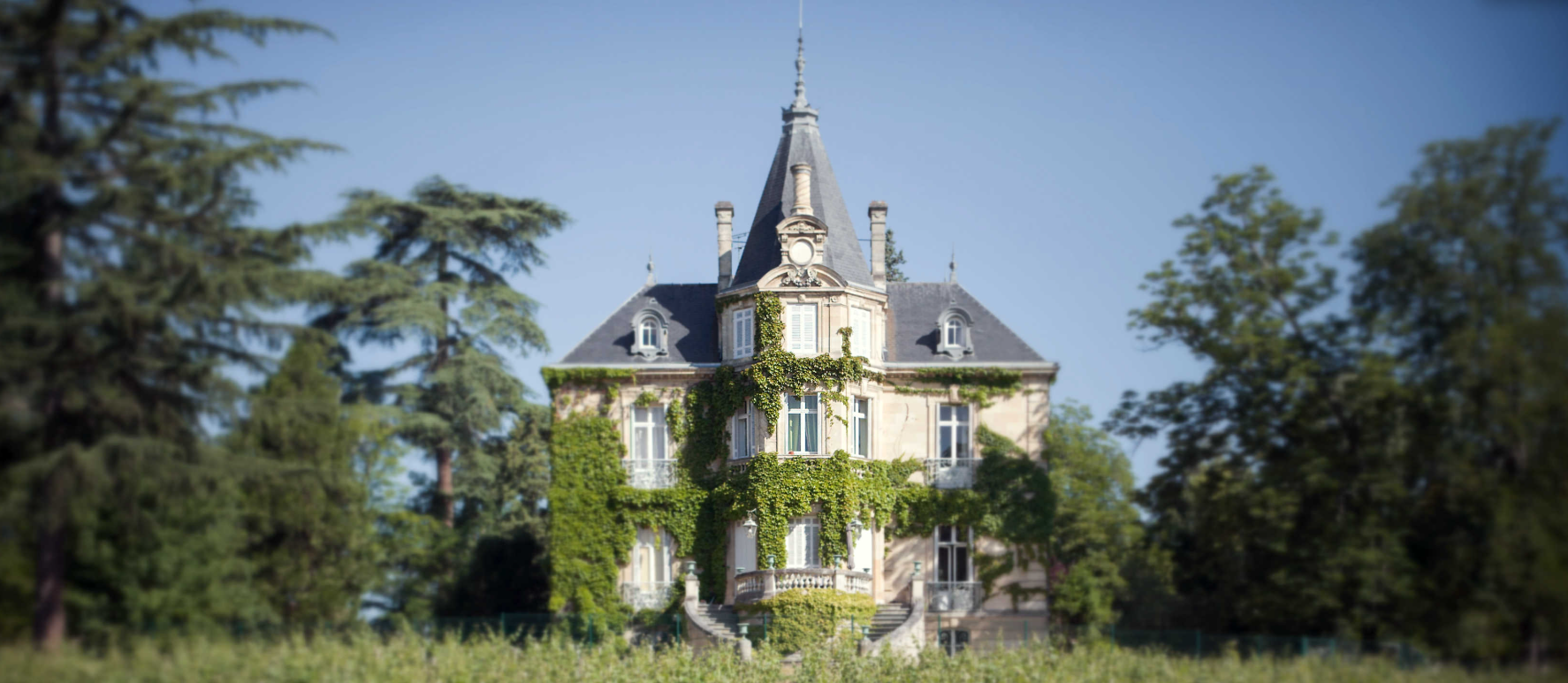 Chteau Les Carmes Haut-Brion