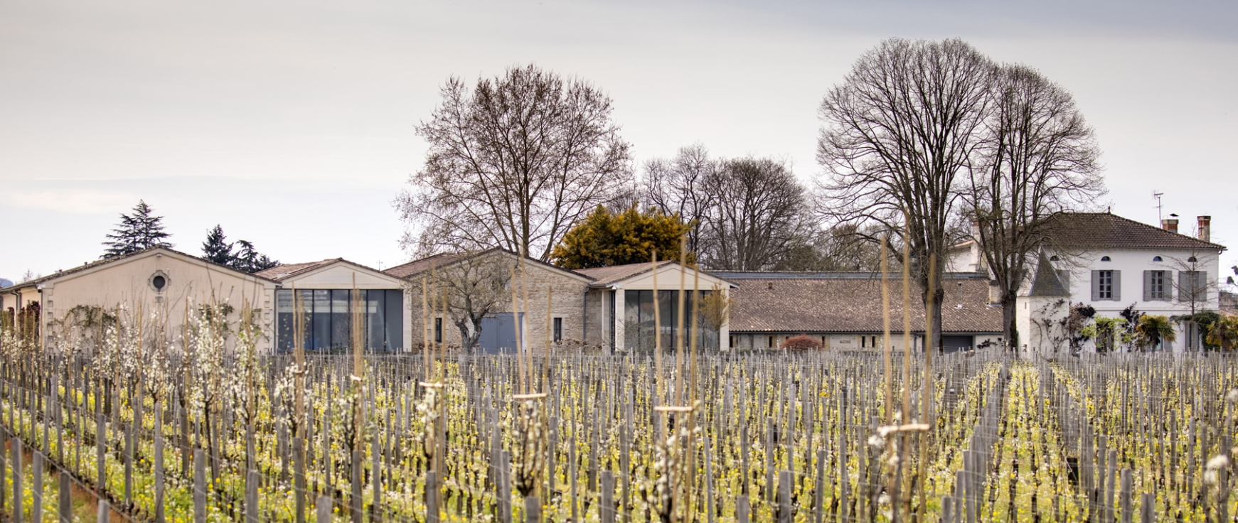 Chteau Quinault L'Enclos