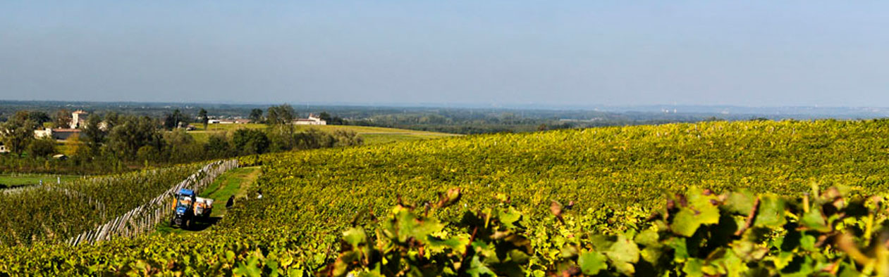 Clos des Lunes