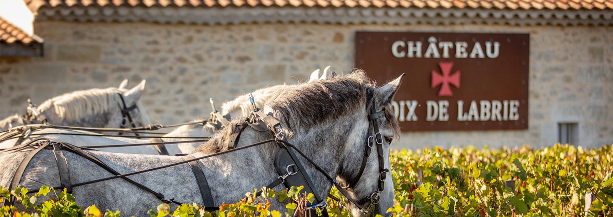Chteau Croix de Labrie