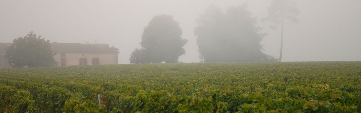Ch&acirc;teau Sigalas Rabaud